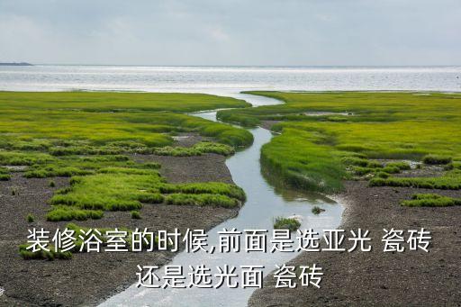 裝修浴室的時(shí)候,前面是選亞光 瓷磚還是選光面 瓷磚