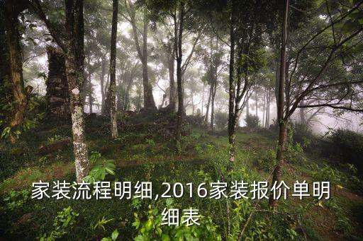 家裝流程明細(xì),2016家裝報(bào)價(jià)單明細(xì)表