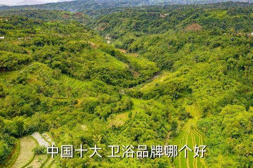 國產(chǎn)最好衛(wèi)浴品牌有哪些,國產(chǎn)衛(wèi)浴品牌哪個性價比最高