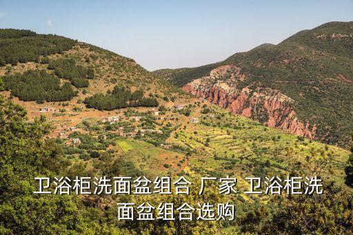  衛(wèi)浴柜洗面盆組合 廠家 衛(wèi)浴柜洗面盆組合選購(gòu)