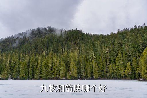 九牧和箭牌哪個(gè)好