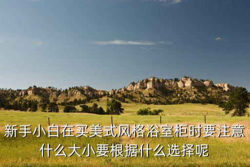 酒店壁掛衛(wèi)浴柜圖片,壁掛衛(wèi)浴柜高度