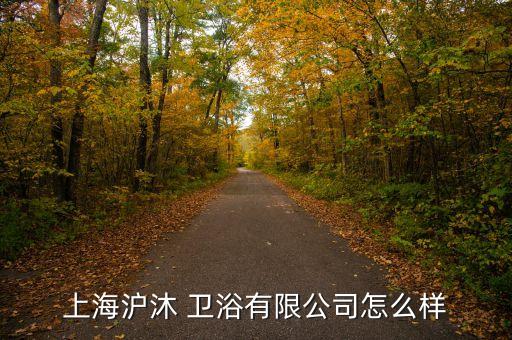 上海滬沐 衛(wèi)浴有限公司怎么樣