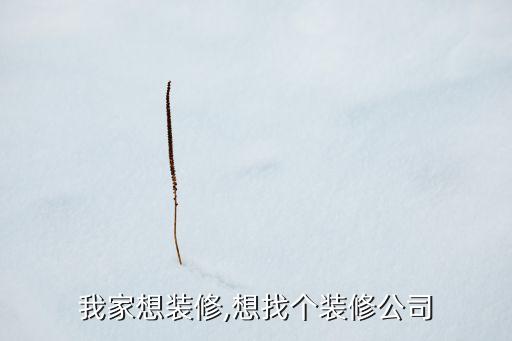 我家想裝修,想找個(gè)裝修公司