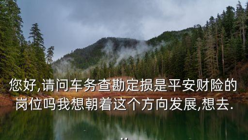 您好,請問車務(wù)查勘定損是平安財(cái)險(xiǎn)的崗位嗎我想朝著這個(gè)方向發(fā)展,想去...