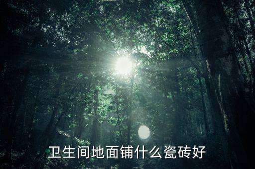 衛(wèi)浴店里墻上裝飾圖片