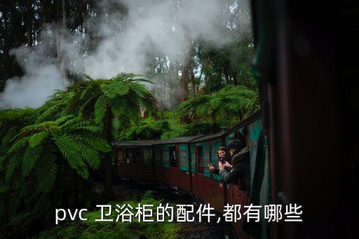 pvc 衛(wèi)浴柜的配件,都有哪些