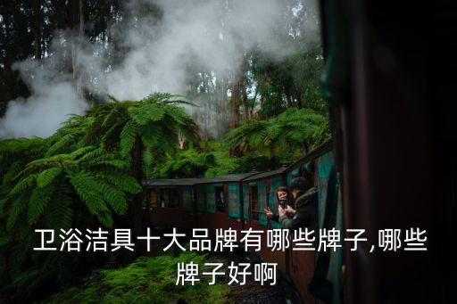 特色衛(wèi)浴配飾品牌大全集