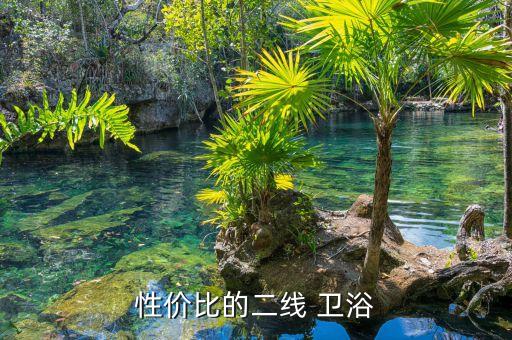 性價(jià)比的二線 衛(wèi)浴