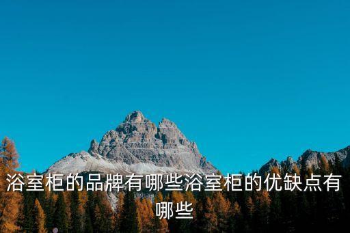 伊菲品牌衛(wèi)浴柜好不好使