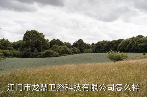江門市龍鼎衛(wèi)浴科技有限公司怎么樣