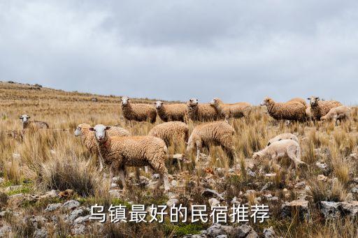 烏鎮(zhèn)最好的民宿推薦
