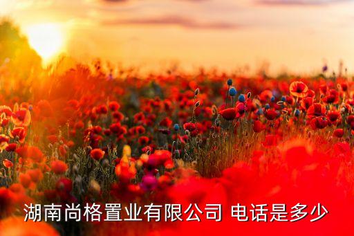 湖南尚格置業(yè)有限公司 電話是多少
