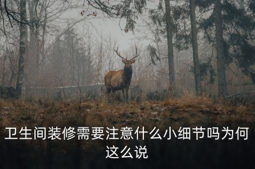 衛(wèi)生間裝修需要注意什么小細(xì)節(jié)嗎為何這么說