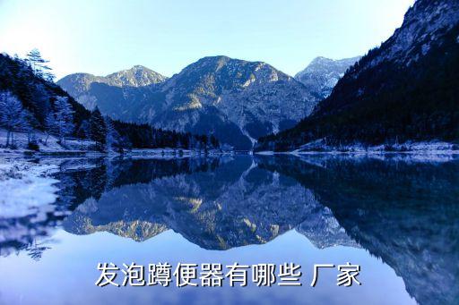 發(fā)泡蹲便器有哪些 廠家