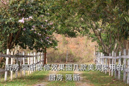 廚房 隔斷裝修效果圖幾款美觀實用的廚房 隔斷