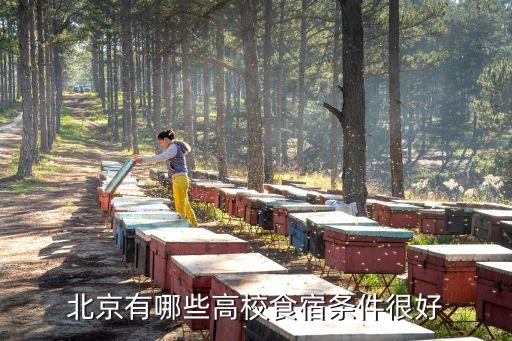 北京有哪些高校食宿條件很好
