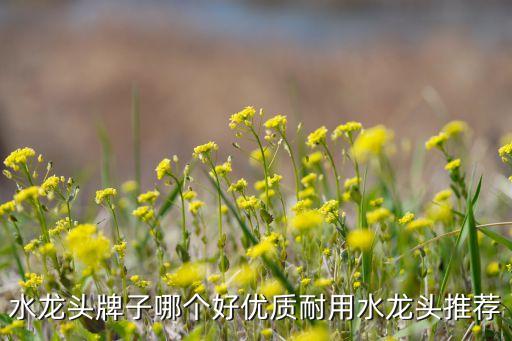 普樂美衛(wèi)浴圖片大全,普樂之聲音箱圖片大全