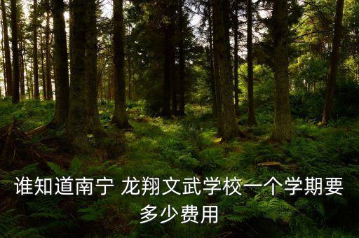 誰知道南寧 龍翔文武學校一個學期要多少費用