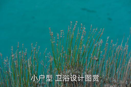 小戶型 衛(wèi)浴設(shè)計(jì)圖賞