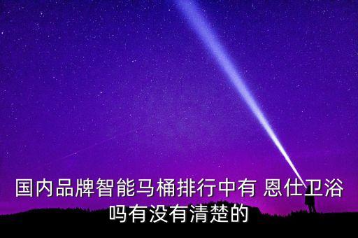 國內(nèi)品牌智能馬桶排行中有 恩仕衛(wèi)浴嗎有沒有清楚的