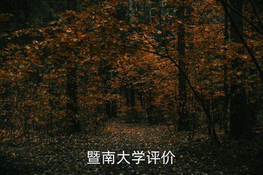 暨南大學(xué)評價