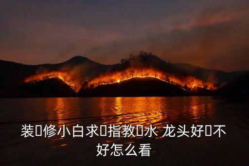 裝?修小白求?指教?水 龍頭好?不好怎么看