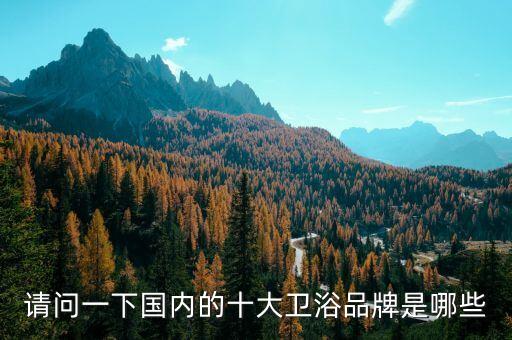 請問一下國內(nèi)的十大衛(wèi)浴品牌是哪些