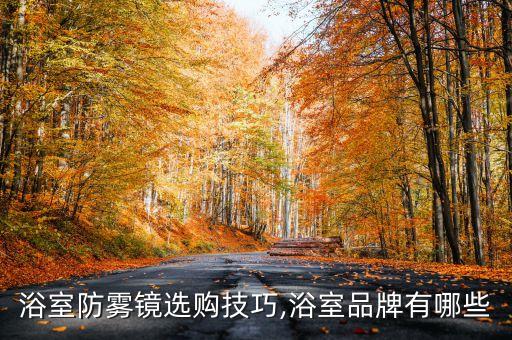 浴室防霧鏡選購(gòu)技巧,浴室品牌有哪些