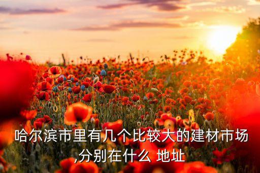 哈爾濱衛(wèi)浴實體店地址在哪,天河衛(wèi)浴實體店地址