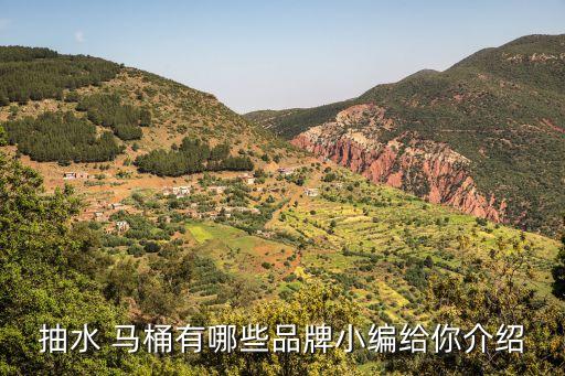 衛(wèi)浴中馬桶分類圖片,九牧王衛(wèi)浴馬桶價格表圖片