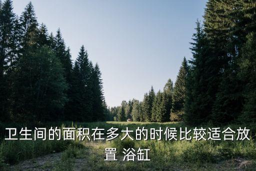 小衛(wèi)浴放浴缸好不好呢圖片