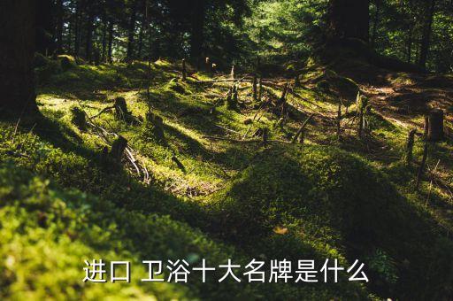全球衛(wèi)浴奢侈品牌有哪些牌子,全球十大奢侈衛(wèi)浴品牌
