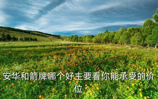 安華和箭牌哪個好主要看你能承受的價位