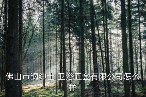 佛山市鋼紳士 衛(wèi)浴五金有限公司怎么樣