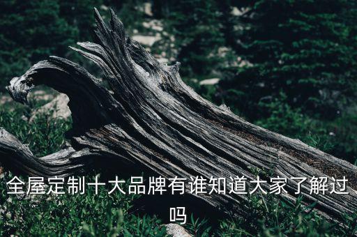 嵐風(fēng)全系統(tǒng)衛(wèi)浴品牌介紹