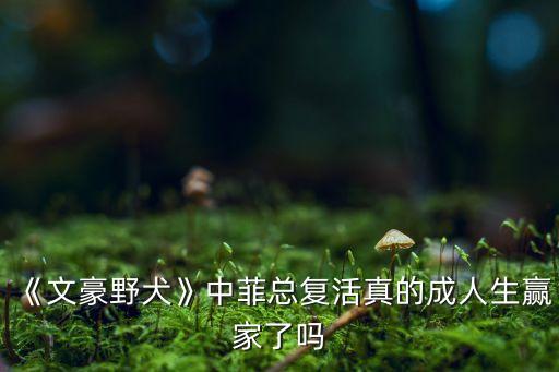 《文豪野犬》中菲總復(fù)活真的成人生贏家了嗎
