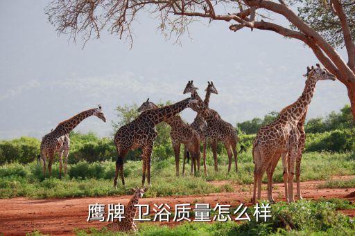  鷹牌 衛(wèi)浴質(zhì)量怎么樣
