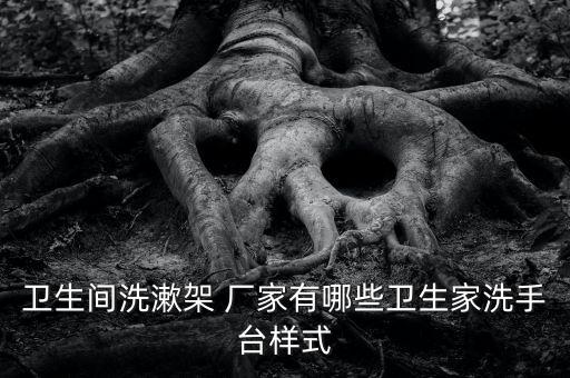 衛(wèi)生間洗漱架 廠家有哪些衛(wèi)生家洗手臺樣式