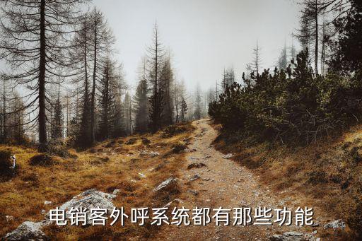 電銷客外呼系統(tǒng)都有那些功能