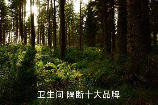衛(wèi)生間 隔斷十大品牌