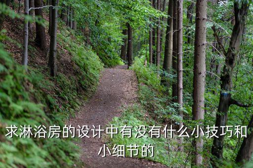 求淋浴房的設(shè)計(jì)中有沒(méi)有什么小技巧和小細(xì)節(jié)的
