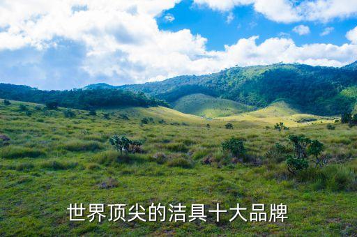 世界頂尖的潔具十大品牌