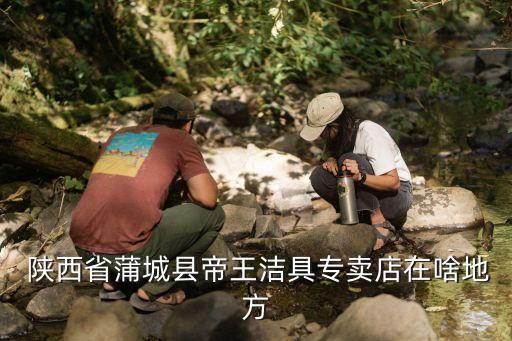  陜西省蒲城縣帝王潔具專賣店在啥地方