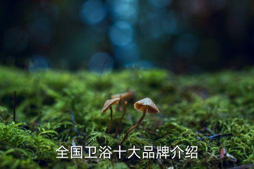 全國衛(wèi)浴十大品牌介紹