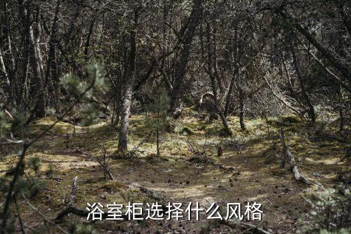 浴室柜選擇什么風(fēng)格