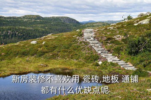 新房裝修不喜歡用 瓷磚,地板 通鋪都有什么優(yōu)缺點呢