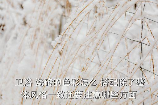  衛(wèi)浴 瓷磚的色彩怎么 搭配除了整體風(fēng)格一致還要注意哪些方面