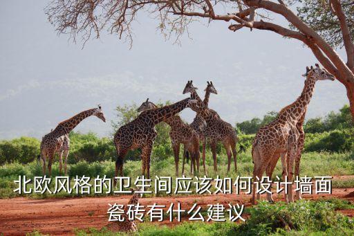 衛(wèi)浴腰線瓷磚效果圖片,客廳墻面瓷磚貼腰線圖片