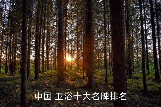 大品牌衛(wèi)浴有哪些牌子好點(diǎn)
